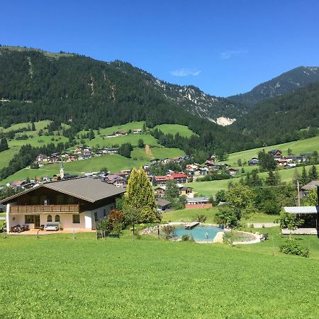 Schneckenhaus Dachstein West Apartment Russbach am Pass Gschuett Exterior photo